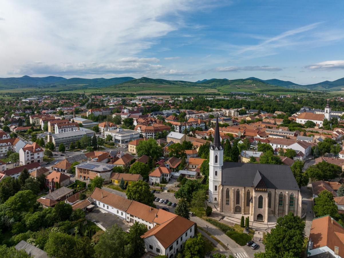 Bodrog Wellness & Elix Hotel Sárospatak