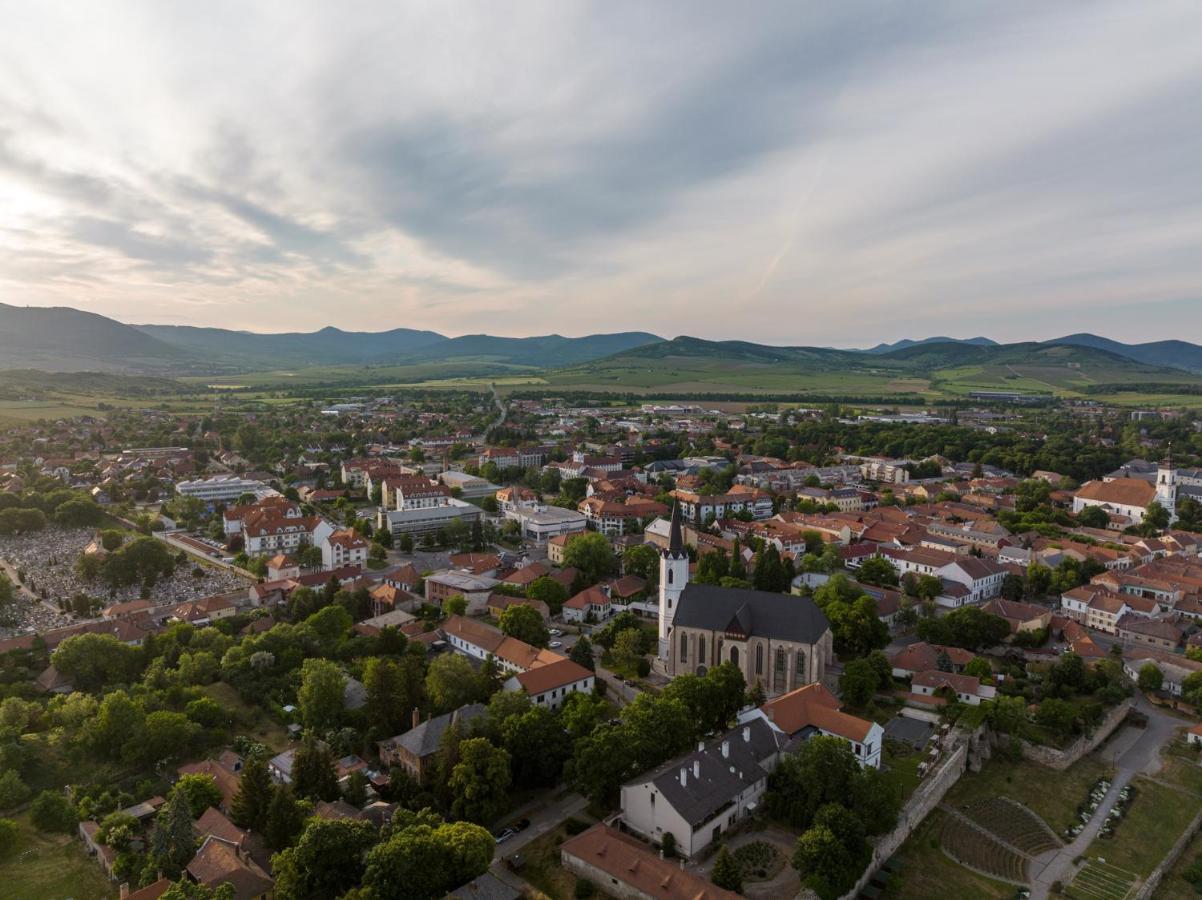 Отель Bodrog Wellness & Elix 4*