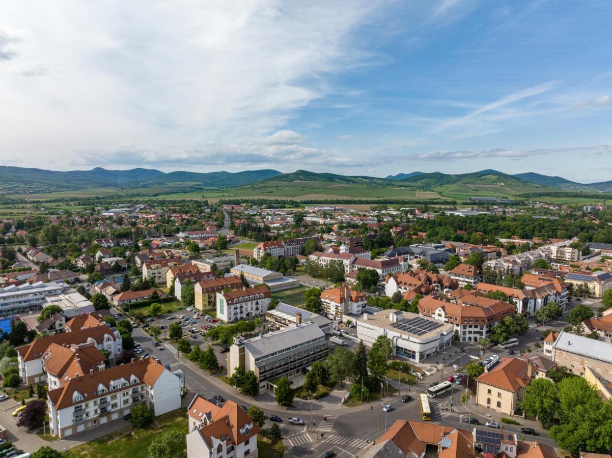 Hotel Bodrog Wellness & Elix 4*